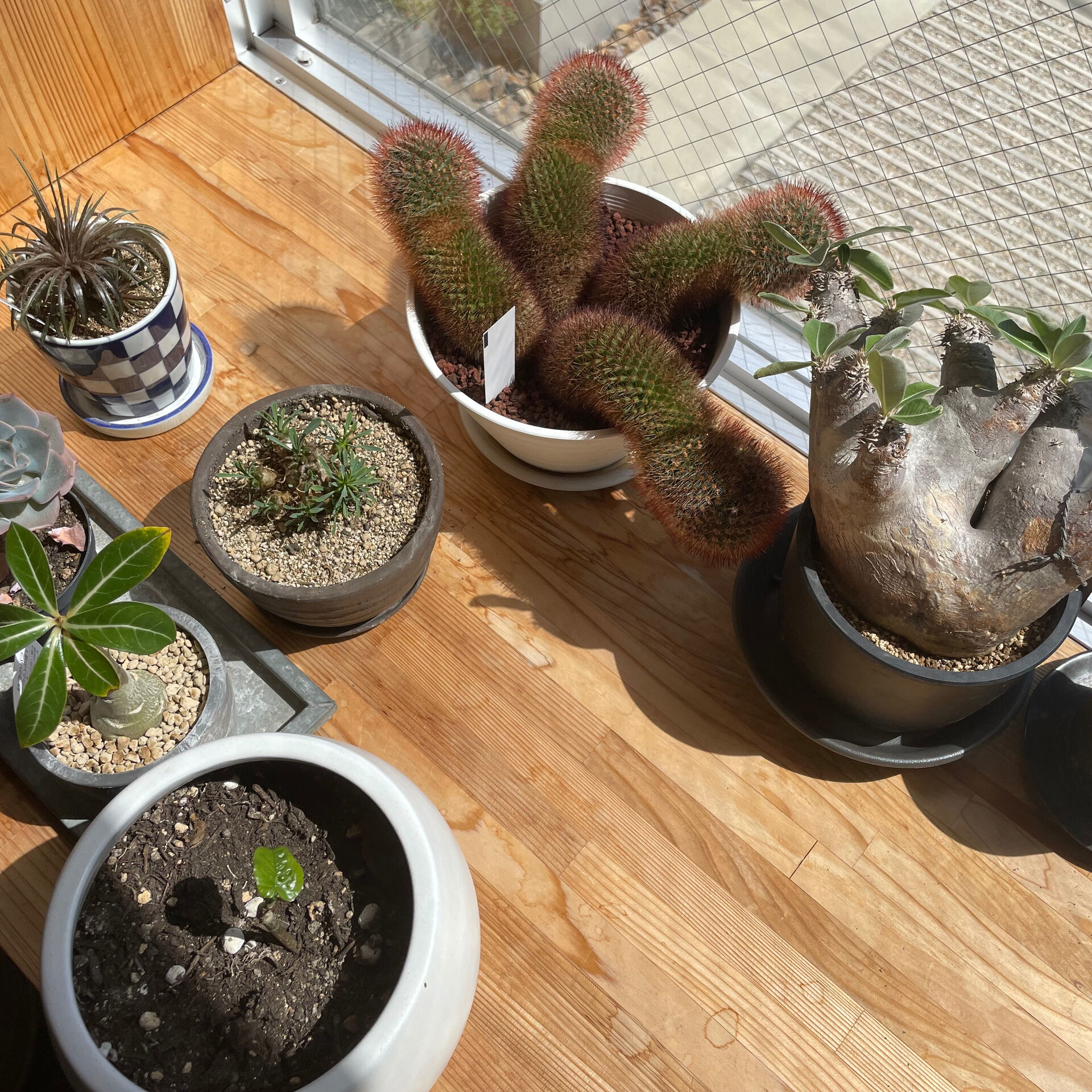 寒さがやってくると、部屋の暖かさが恋しくなりますね