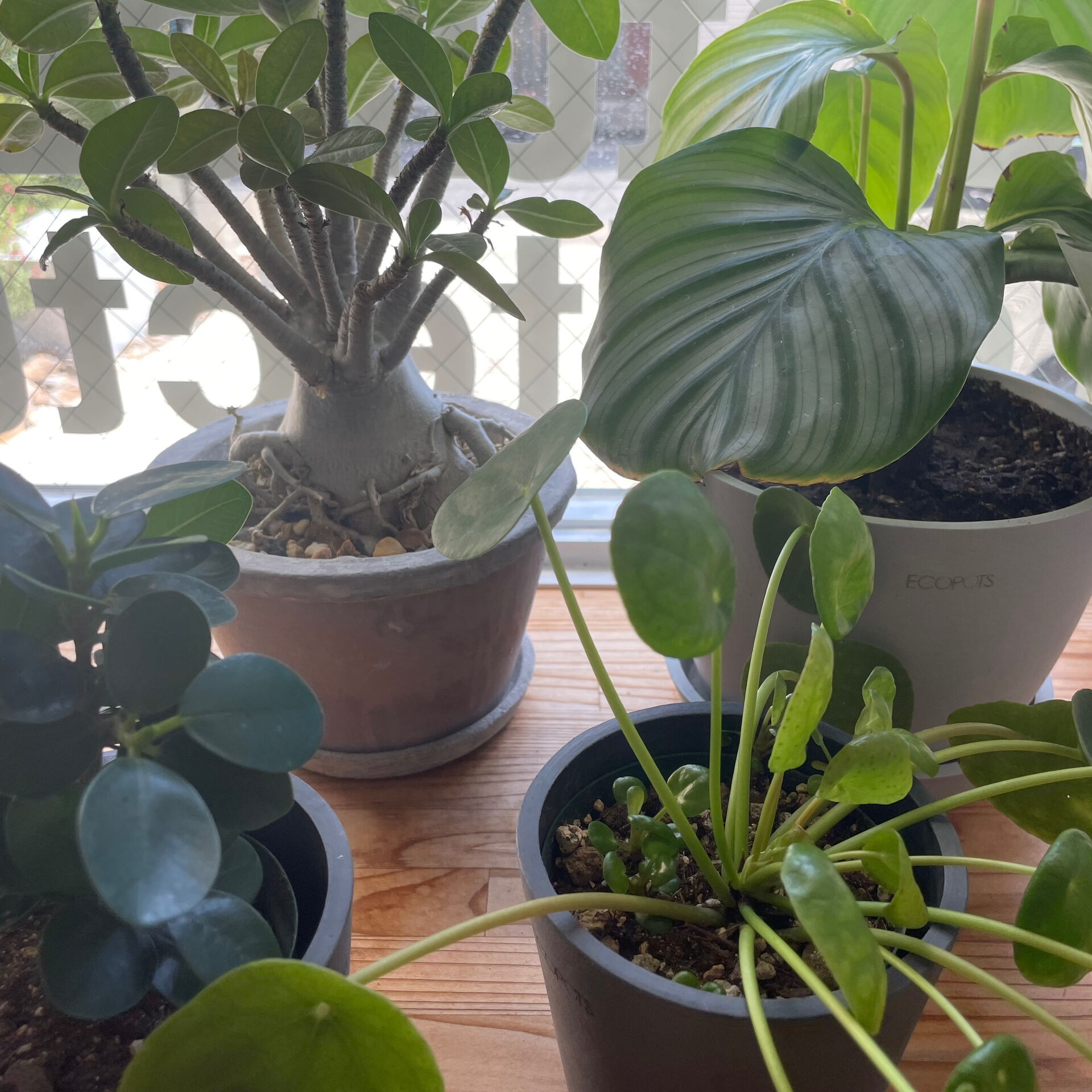 寒さがやってくると、部屋の暖かさが恋しくなりますね