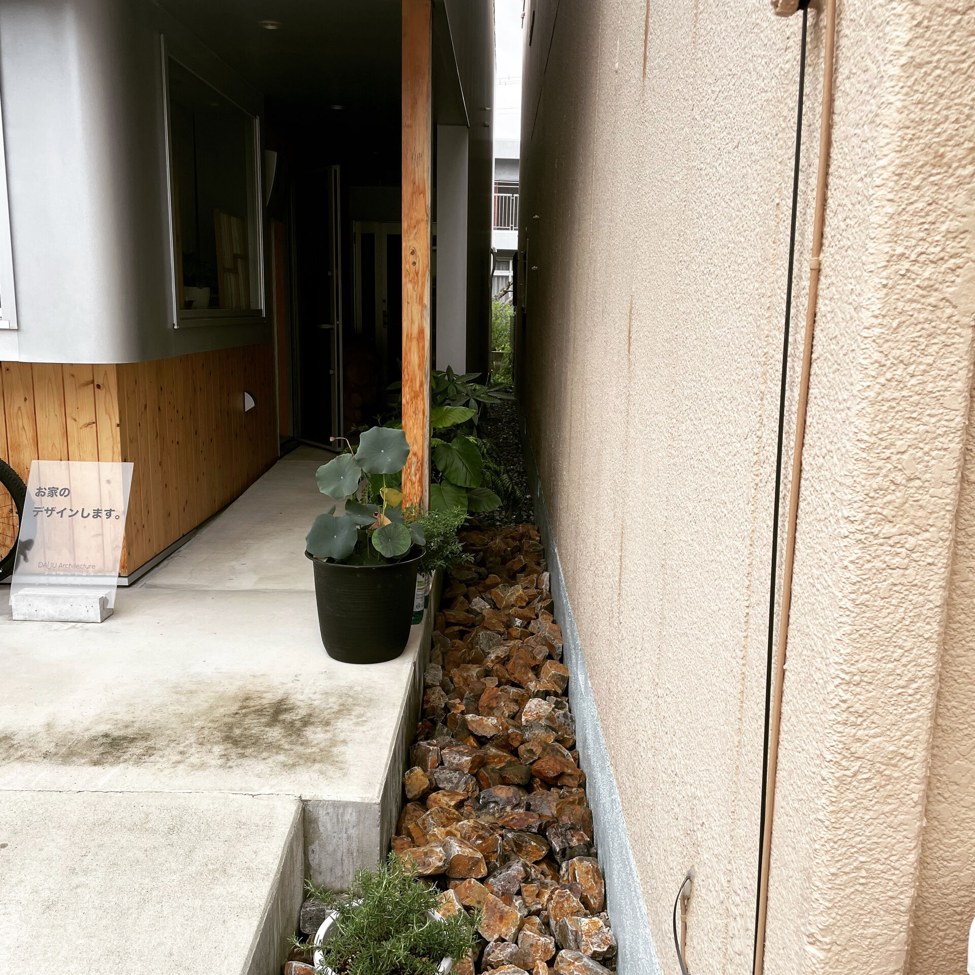 長雨の季節、少しのあいだ晴れた日が続きそうですね